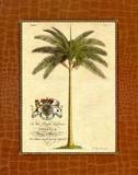 Buy Date Palm at AllPosters.com