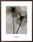 Buy Facing the Sun at AllPosters.com