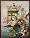 Buy Cockatoo and Blossoms at AllPosters.com