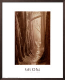 Buy Cypress Trail at AllPosters.com