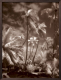 Place of Refuge II