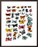 Butterflies, 1955