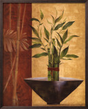 Lucky Bamboo I