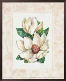 Fleur du Jour, Magnolia