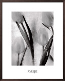 Buy Tulips on Ice at AllPosters.com
