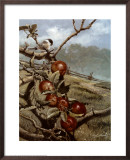 Buy Red Orchard at AllPosters.com