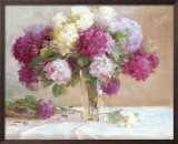 Elizabeth's Hydrangeas