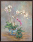 Buy Orchid Heirloom I at AllPosters.com