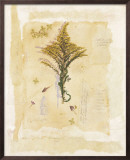 Goldenrod Collage
