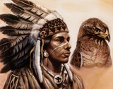 Young Hawk