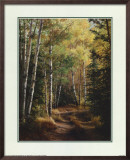 Woodland Path