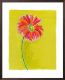 Buy Daisy at AllPosters.com