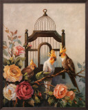 Buy Cockatiel and Roses at AllPosters.com