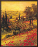 Toscano Valley II