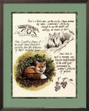 Buy Fox Study at AllPosters.com