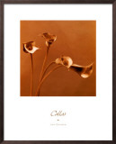 Buy Callas at AllPosters.com
