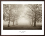 Buy Layers of Trees II at AllPosters.com