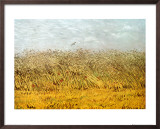 The Wheat Field