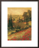 Toscano Valley I