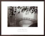 Cambridge Mist