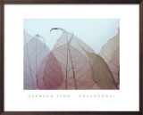 Chardonnay