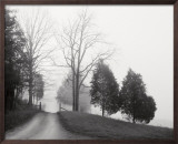 Buy Tennessee Morning at AllPosters.com