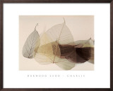 Chablis