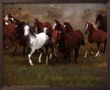 Wild Horses