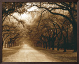 Buy Savannah Oaks I at AllPosters.com