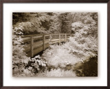 Buy Upper Peninsula I at AllPosters.com