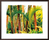 Buy Dancing Bamboo at AllPosters.com