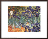 Irises, Saint-Remy, c.1889 Framed Art Print