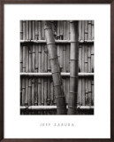 Buy Bamboo and Wall at AllPosters.com