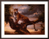 Leopard in Tree