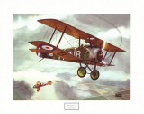 Sopwith Camel, 1917