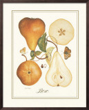 Bosc
