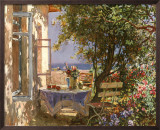 Shady Patio