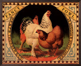 Buy Fancy Fowl at AllPosters.com