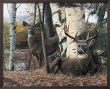 Autumn?s Majesty