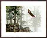 Buy Flying High at AllPosters.com