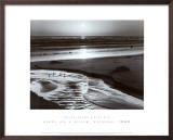 Buy Birds on a Beach at AllPosters.com