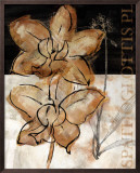 Buy Blooming Orchid I at AllPosters.com