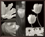 Summer Garden II