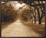 Buy Savannah Oaks II at AllPosters.com