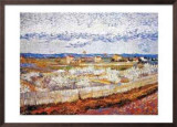 Peach Blossoms in the Crau, c.1889 Framed Art Print