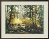 Serene Woods