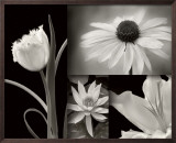 Summer Garden I