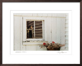 Buy Jonathan's Window at AllPosters.com