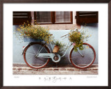 Blue Bike