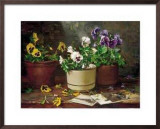 Buy Pansies in Terra Cotta at AllPosters.com